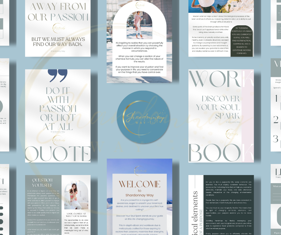 Discover Your Soul Spark eBook & Workbook